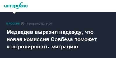 Дмитрий Медведев - Медведев выразил надежду, что новая комиссия Совбеза поможет контролировать миграцию - interfax.ru - Москва - Россия