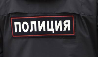 Московские полицейские пострадали при задержании пьяных приезжих