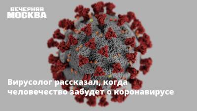 Вирусолог рассказал, когда человечество забудет о коронавирусе