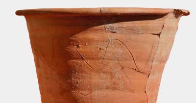 Ученые нашли предмет, который использовали в Древнем Риме, когда рядом не было туалета