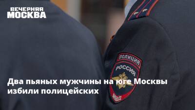 Два пьяных мужчины на юге Москвы избили полицейских