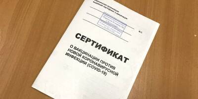 Житель Александрова получил пять месяцев ограничения свободы за покупку сертификата о вакцинации