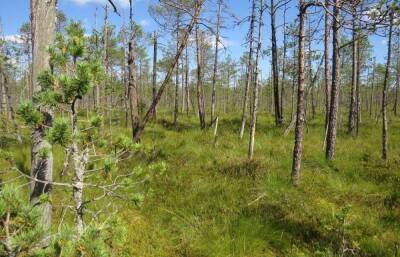 В Тверской области утвердили границы еще 12 особо охраняемых природных территорий