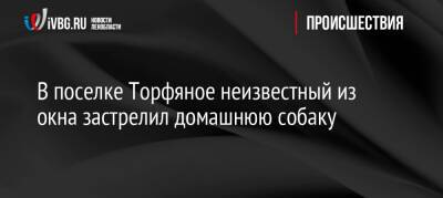 В поселке Торфяное неизвестный из окна застрелил домашнюю собаку