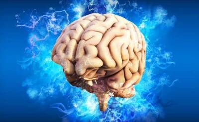 Ученые обнаружили истоки шизофрении в мозге человека