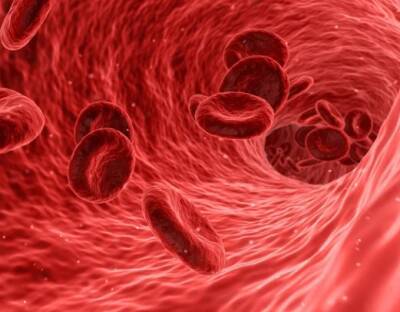 Ученые научились оценивать свертываемость крови с помощью смартфона