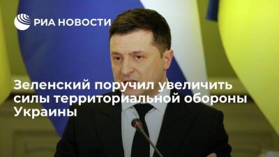 Зеленский поручил увеличить силы территориальной обороны Украины до двух миллионов человек