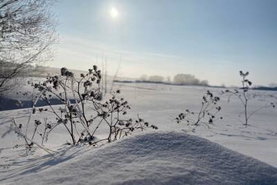 12 февраля в Рязанской области ожидается небольшой снег и до +2 градусов