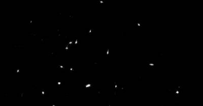 В NASA показало сделанную телескопом Джеймсом Уэббом космическую "мозаику" (фото)