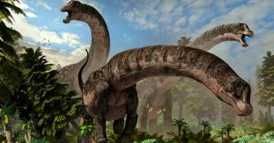 В костях динозавра обнаружили древнейшую инфекцию