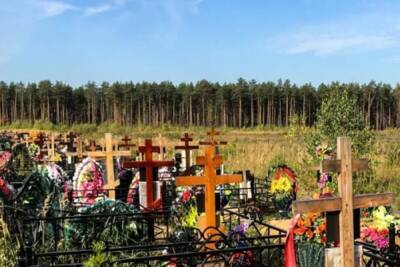 Жители Ярославского района протестуют против нового кладбища