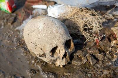 Скелет нашли на стихийной свалке в Новосибирске