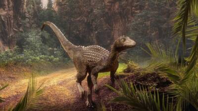 Scientific Reports: простуда могла стать причиной смерти динозавра юрского периода