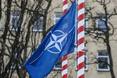 Экс-министр обороны Германии Юнг: Минские соглашения решат разногласия между НАТО и РФ по расширению альянса на восток