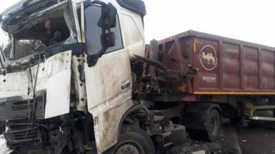 В Воронежской области при столкновении двух грузовиков погиб мужчина
