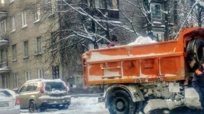 Пенсионер погиб под колесами убиравшего снег самосвала в Петербурге