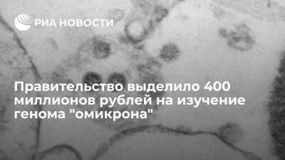 Правительство выделило около 400 миллионов рублей на изучение генома "омикрона"