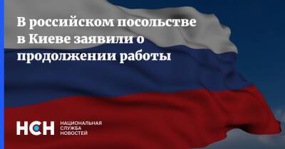 В российском посольстве в Киеве заявили о продолжении работы