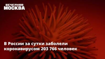 В России за сутки заболели коронавирусом 203 766 человек