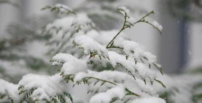 Снег и гололедица ожидаются в Беларуси 12 февраля