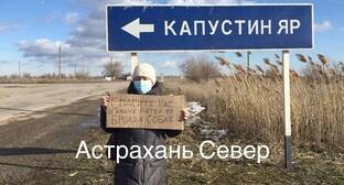 Жители Астраханской области потребовали решить проблему с бродячими собаками