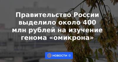 Правительство России выделило около 400 млн рублей на изучение генома «омикрона»