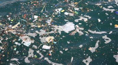 Индия провела общенациональную кампанию по очистке прибрежных вод от пластика