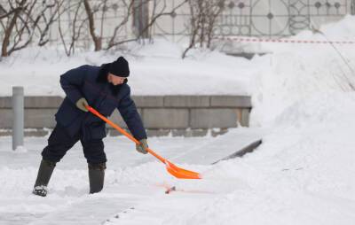 Власти Москвы назвали нынешнюю зиму самой снежной за четыре года