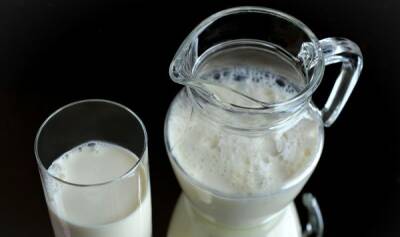 Жизнь одним днем. Отрасль переработки молока переживает кризис