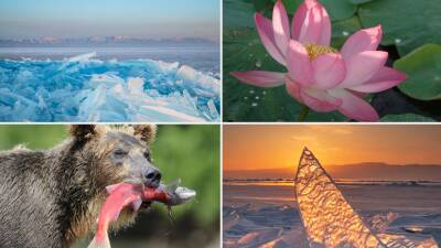 Байкальский лёд и лавандовые поля: что посмотреть в сезонных путешествиях по России