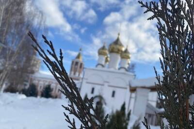 В ночь на 13 февраля в Рязанской области похолодает до -9 градусов