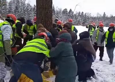 В Новой Москве жестко задерживают защитников Троицкого леса