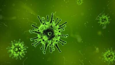 Омикрон-штамм коронавируса оказался заразнее чумы, сибирской язвы и кори