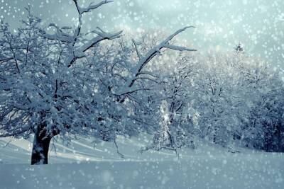 В воскресенье в Воронеже наконец-то прекратится снег с дождем и ночью ударят морозы
