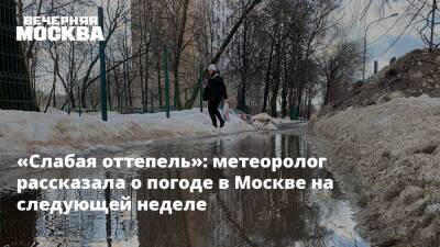 «Слабая оттепель»: метеоролог рассказала о погоде в Москве на следующей неделе