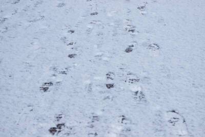 Мокрый снег и гололедицу пообещали псковичам синоптики 13 февраля