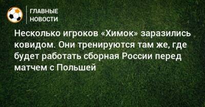 Несколько игроков «Химок» заразились ковидом. Они тренируются там же, где будет работать сборная России перед матчем с Польшей