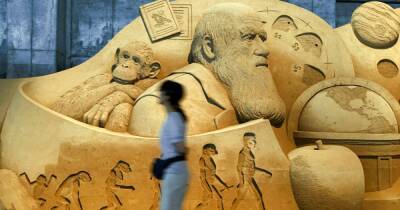 "Антиобезьяньи законы" и ментальные прыжки: как идеи Чарльза Дарвина будоражат умы в XXI веке