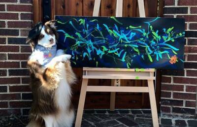Собака научилась писать картины и заработала на них $20 тысяч