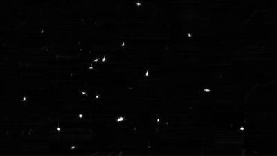 NASA опубликовало первое изображение с телескопа "Джеймс Уэбб"