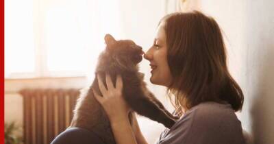 Насильно мил не будешь: 7 правил общения с кошками