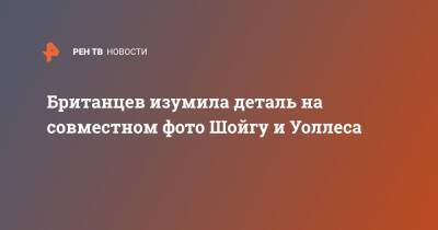 Британцев изумила деталь на совместном фото Шойгу и Уоллеса