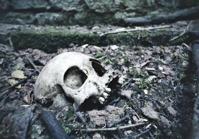 В Новосибирске на гаражной свалке обнаружили скелет мужчины
