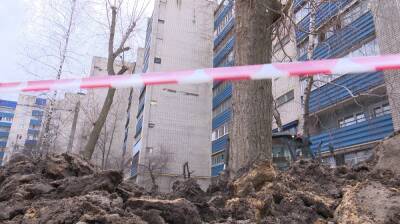 Власти Воронежа начали поиск подрядчиков для ремонта дворов