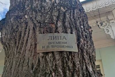 Кисловодск присоединился к акции «Мемориальные деревья России»