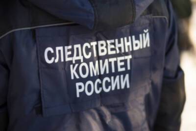 СК начал проверку по факту нападения собаки на школьников в Тверской области