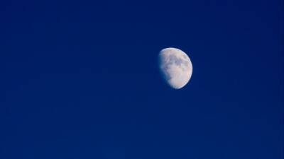 Время вернуться к корням: как 14-е лунные сутки отразятся на жизни людей