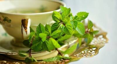 Daily Express: употребление зеленого чая снижает риск развития гипертонии на 65%