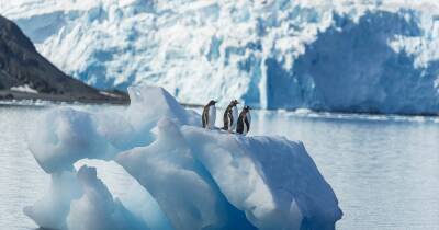 Битва за Антарктиду. Почему ученые считают, что на белом континенте может грянуть Апокалипсис