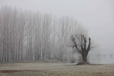 Ученые из Северного Кавказа разгадали тайну Ставропольского тумана